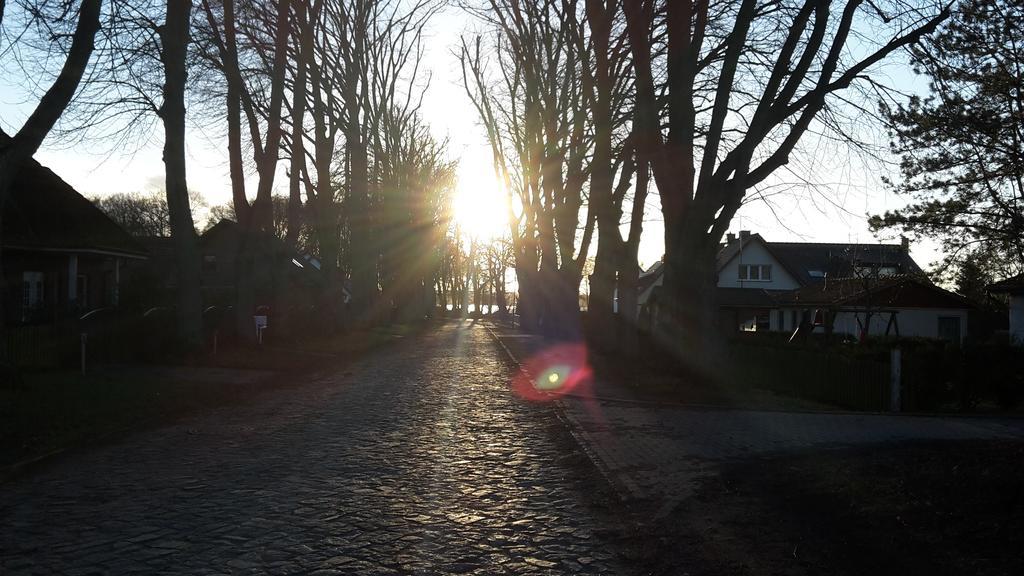 Ferienwohnung Lindenstrasse 8L Flessenow エクステリア 写真